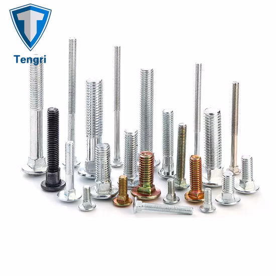 Carriage Bolt Mushroom Round Short Square Neck Head Bolt Coach Bolt Hex Bolt T Bolt U Bolt Toggle Bolt Anchor Bolt Screw Bolt Railway Bolts Lag Bolt in Stock