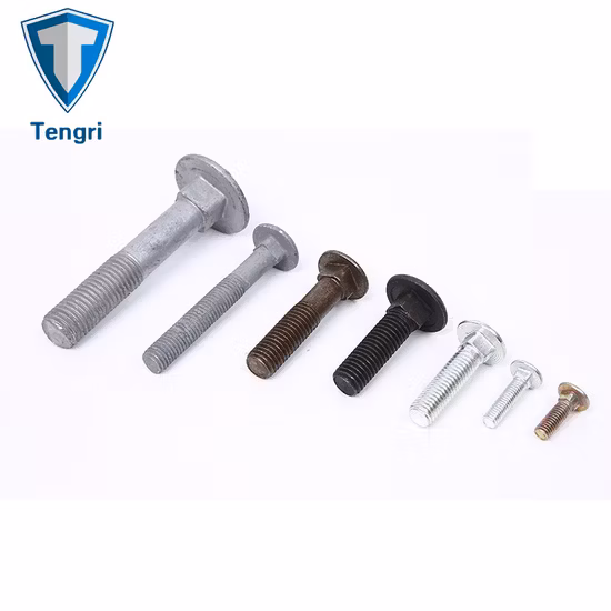 Carriage Bolt Mushroom Round Short Square Neck Head Bolt Coach Bolt Hex Bolt T Bolt U Bolt Toggle Bolt Anchor Bolt Screw Bolt Railway Bolts Lag Bolt in Stock